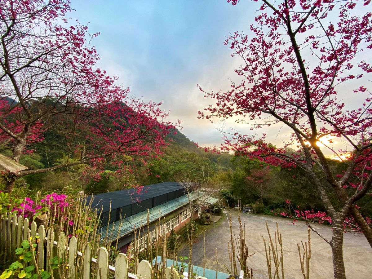 仙山農園景色 1