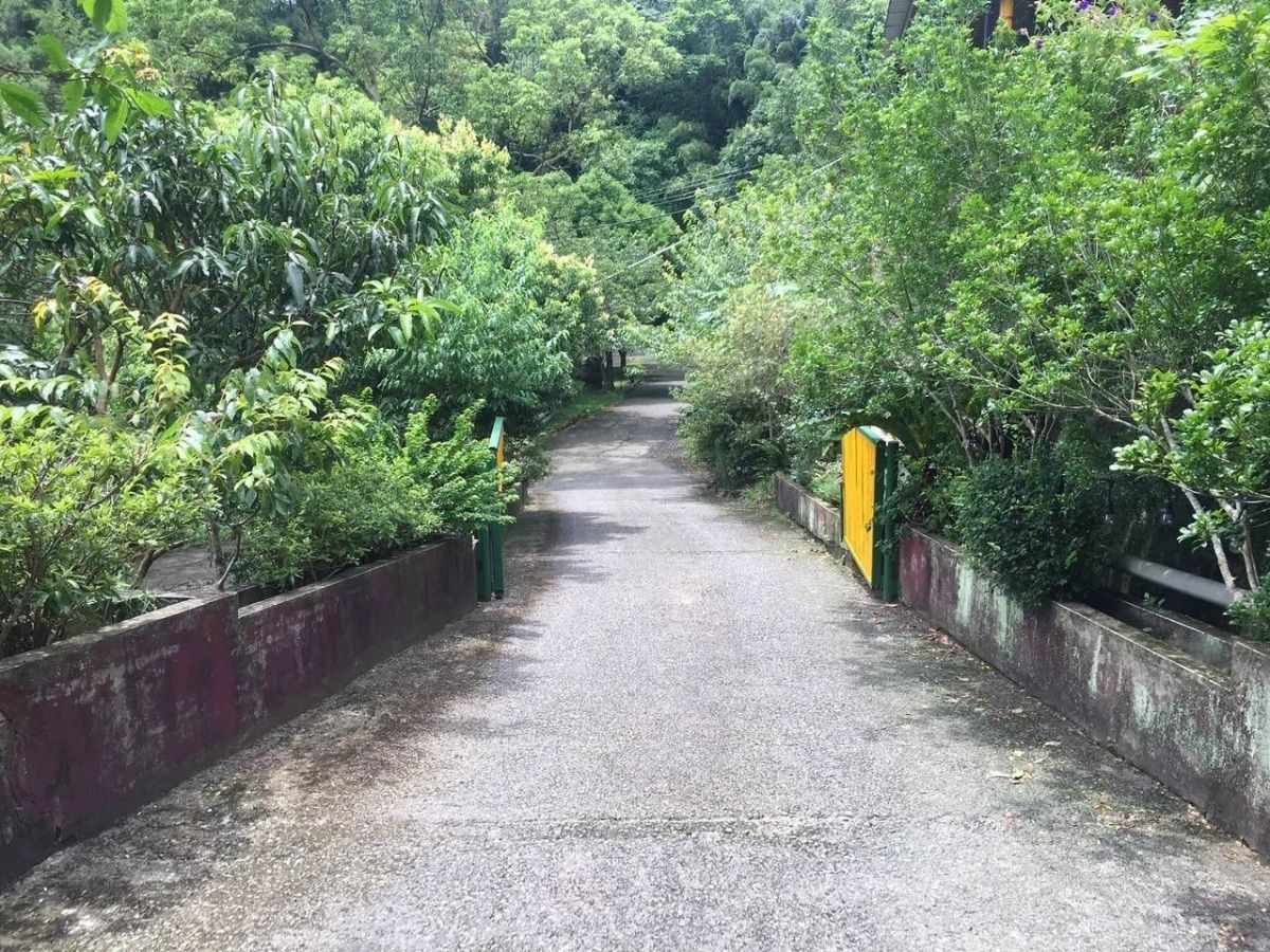 仙山農園景色 3